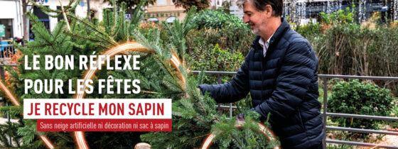 Parcs de collecte des sapins usagés.