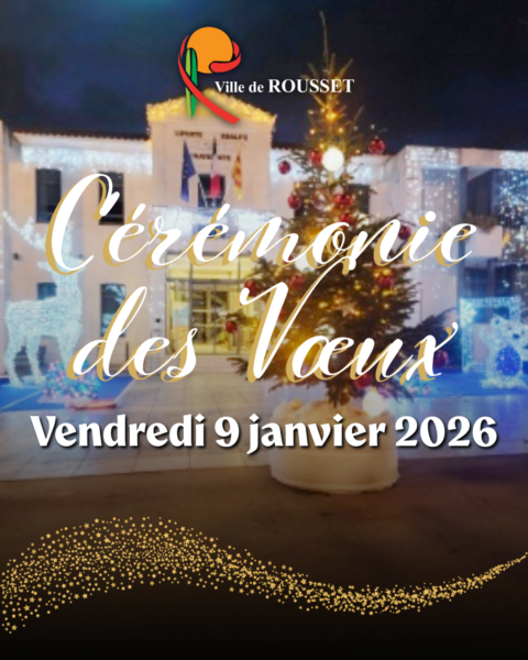 affiche cérémonie des vœux