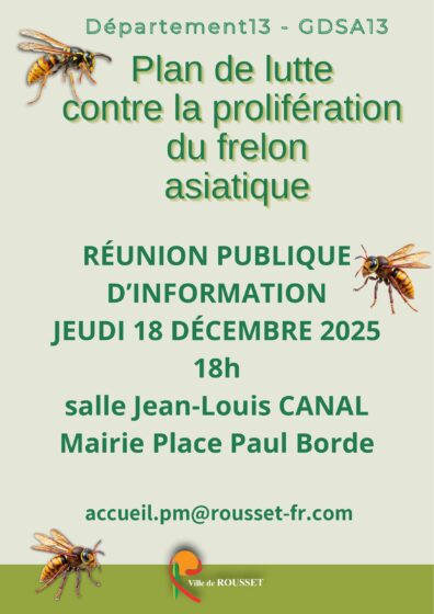 Plan de lutte contre le frelon asiatique : réunion publique d&rsquo;information jeudi 18 décembre 2025 à 18h en salle Jean-Louis Canal (Mairie)