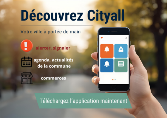 application city all