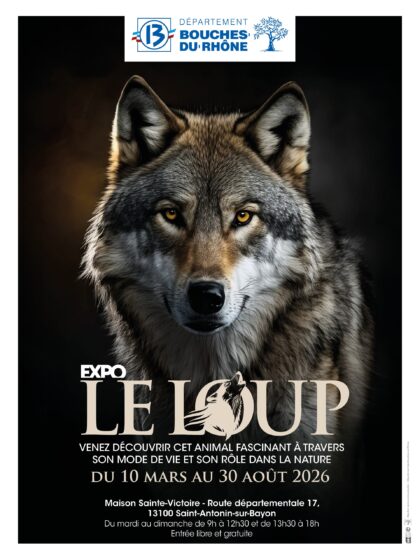 La Maison Sainte Victoire : exposition « Le Loup »