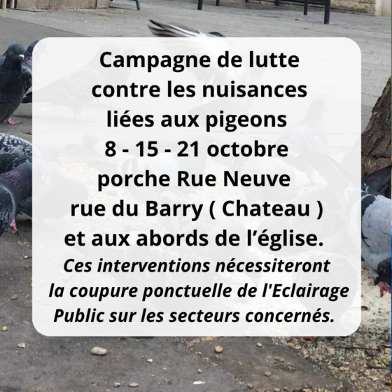 Campagne contre les nuisances des pigeons